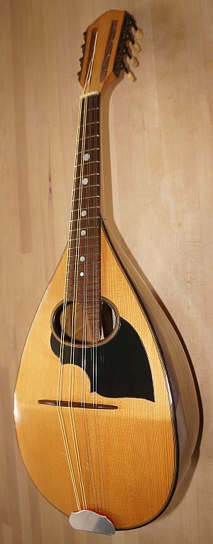 Luigi Embergher mandolin