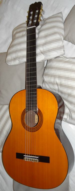 Jasmine Takamine C23