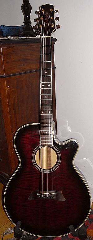 Takamine FP 592